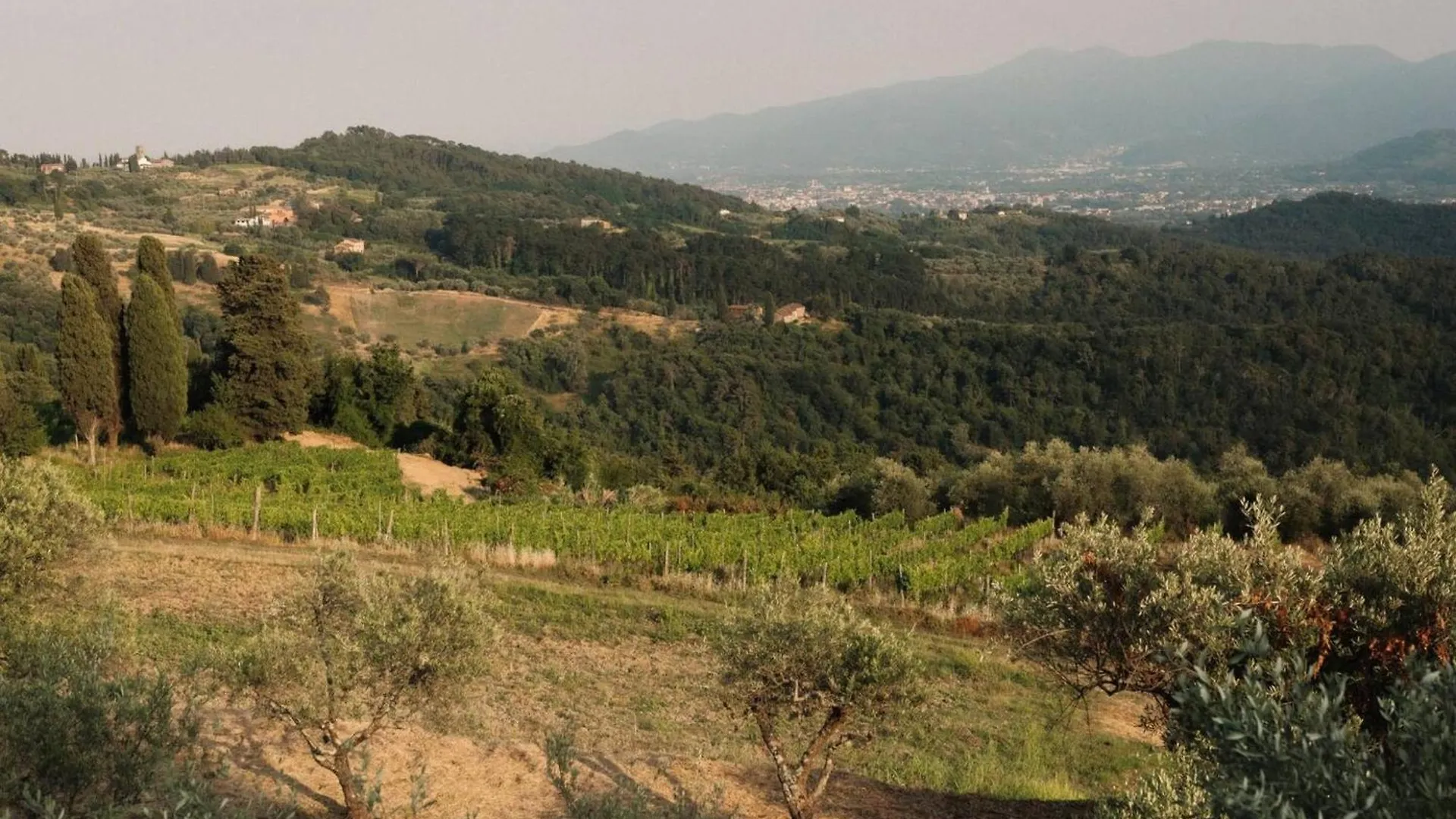 Holiday home Casale Toscano A Lucca